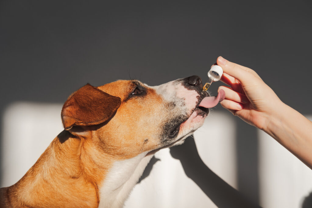 pet care products